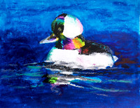 Grace Ge, Grade 3 1st Place Bufflehead