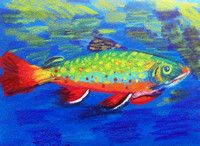 Annie Yang, Grade 3 Brook Trout 3rd Place State-Winner