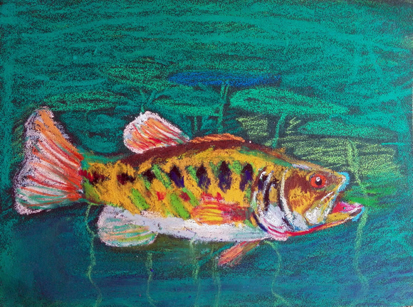 Tina Qin, Grade 3 First Place-State Winner