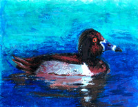Tina Qin,  Grade 3 2nd Place Ring-Necked Duck