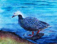 Grace Cheng, Grade 8 Honorable Mention Emperor Goose