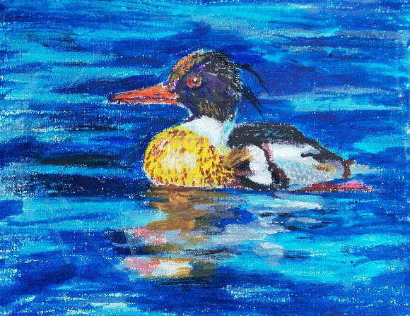 Jada Liu, Grade 4 Honorable Mention Red-Breasted Merganser