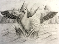 Snow Goose on Lake, Snow Goose