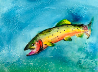 Emma Feng, Age 7