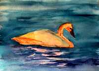 Avanita Deepak, Age 6, Honorable Mention