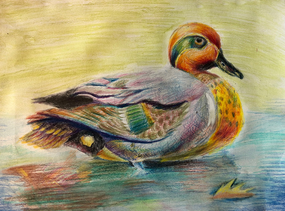 Jingyi Xu, Age 10, Honorable Mention