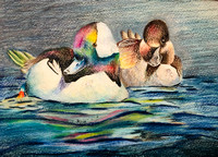 Grace Cheng, Age 15, Honorable Mention