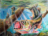 Ning Zhang, Age 14, 1st Place