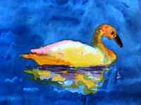 2017 Federal Junior Duck Stamp Art Contest